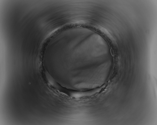 X0000094220872200711161847