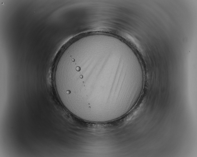 X0000094220875200711161847