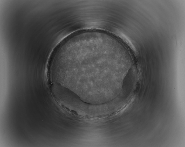 X0000094220876200711161847