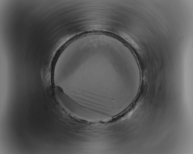 X0000094220877200711161847