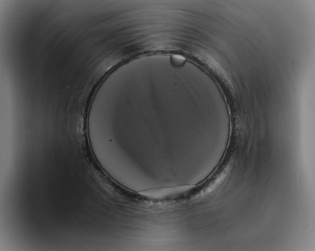 X0000094220881200711161847