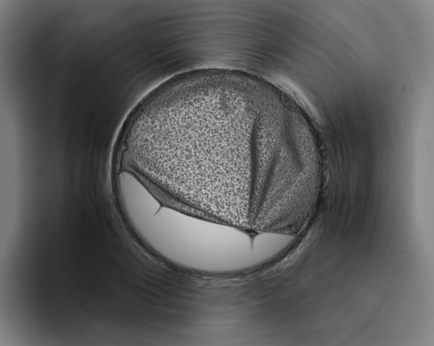 X0000094220884200711161847