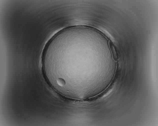 X0000094220885200711161847