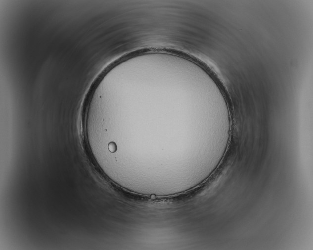 X0000094220887200711161846