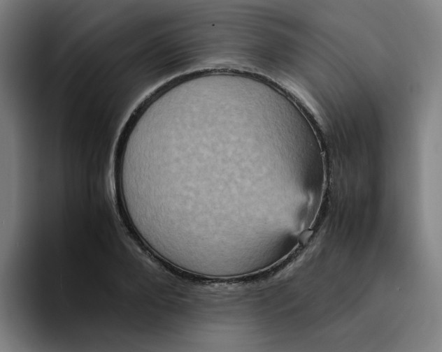 X0000094220888200711161846