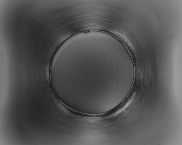 X0000094220889200711161846