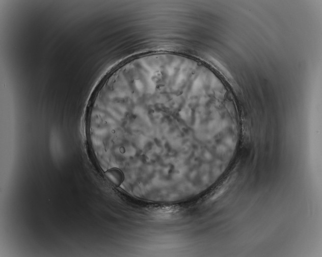 X0000094220891200711161846