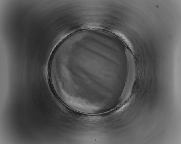 X0000094220893200711161846