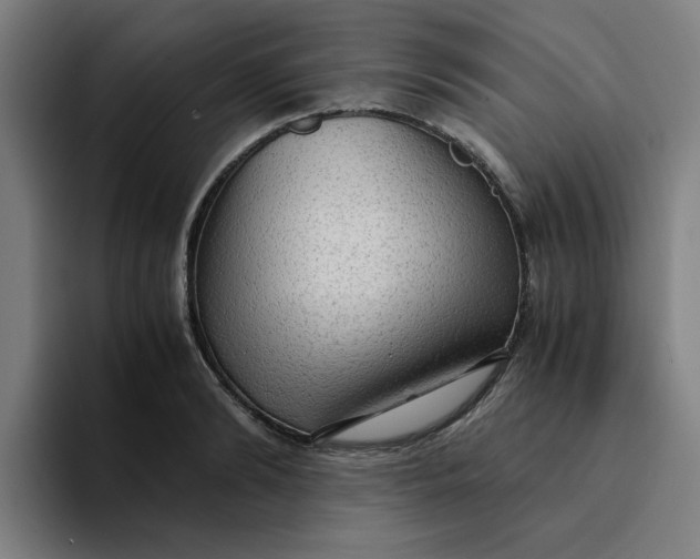 X0000094220894200711161846