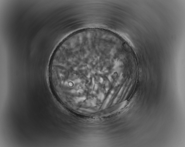 X0000094220895200711161846