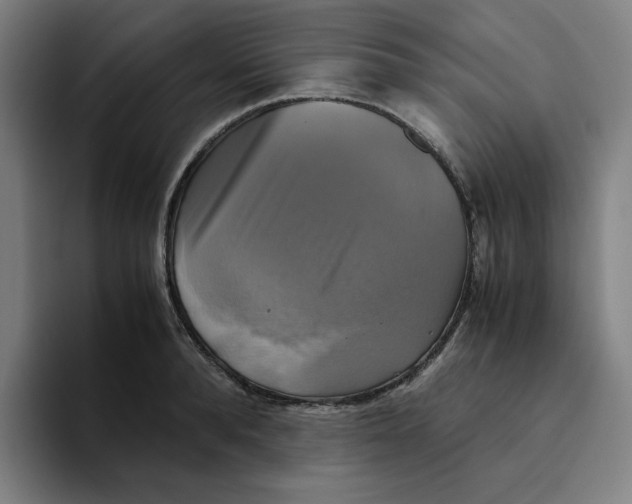 X0000094220896200711161846