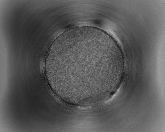 X0000094220897200711161846