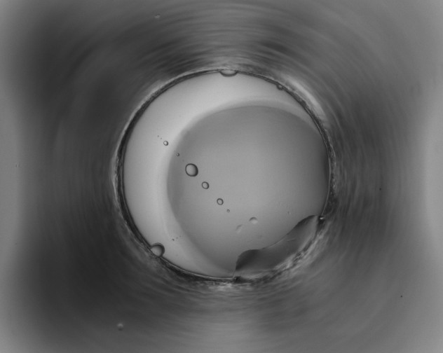 X0000094220899200711161846