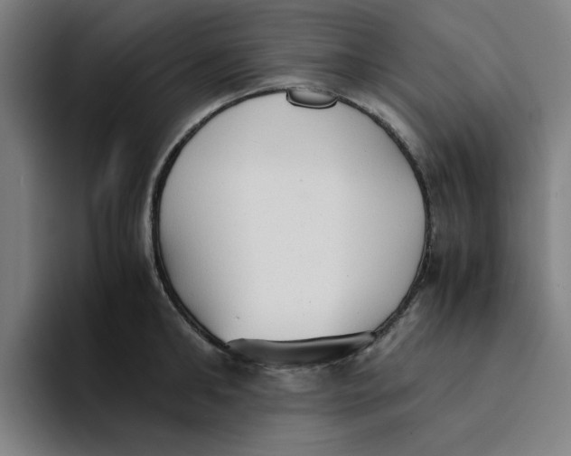 X0000094220902200711161846