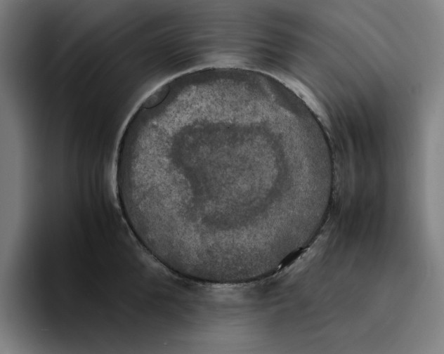 X0000094220904200711161846