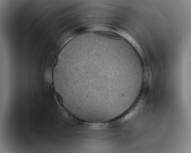 X0000094220905200711161846