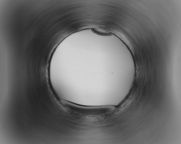 X0000094220906200711161846