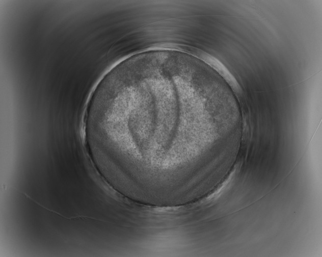 X0000094220908200711161846