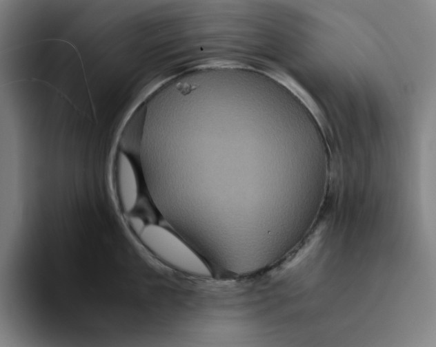 X0000094220909200711161846