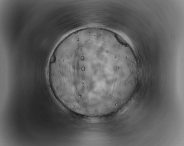 X0000094220911200711161846