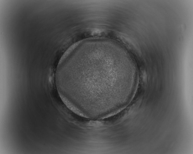 X0000094220914200711161846