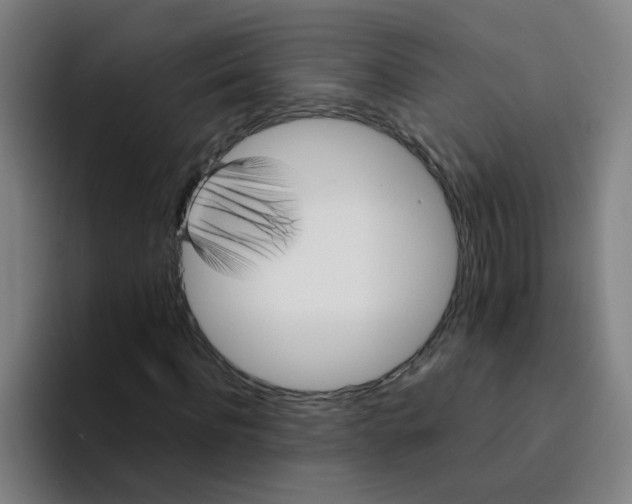 X0000094220916200711161846