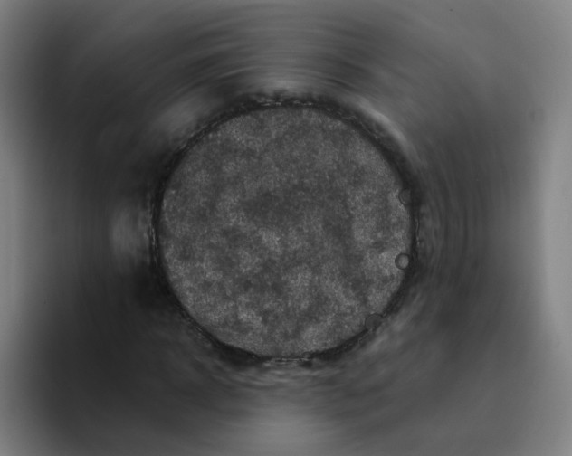 X0000094220918200711161846