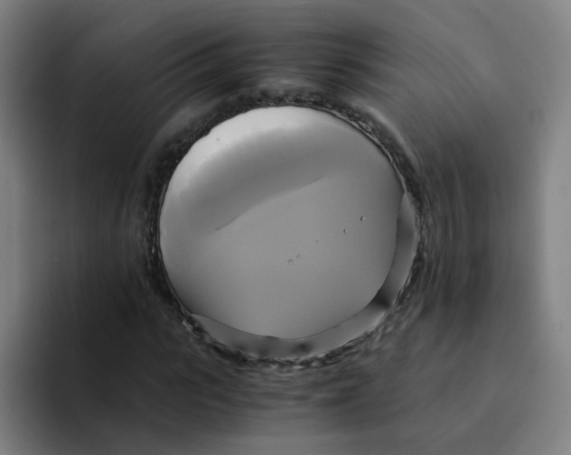 X0000094220919200711161846