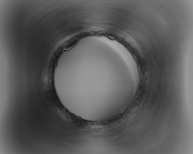 X0000094220920200711161846