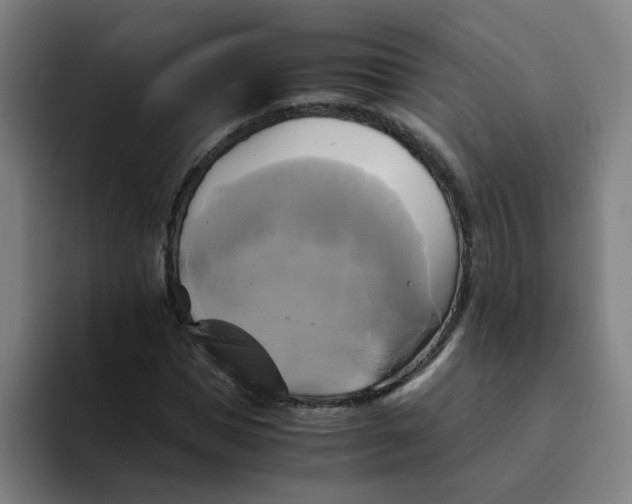 X0000094220921200711161846