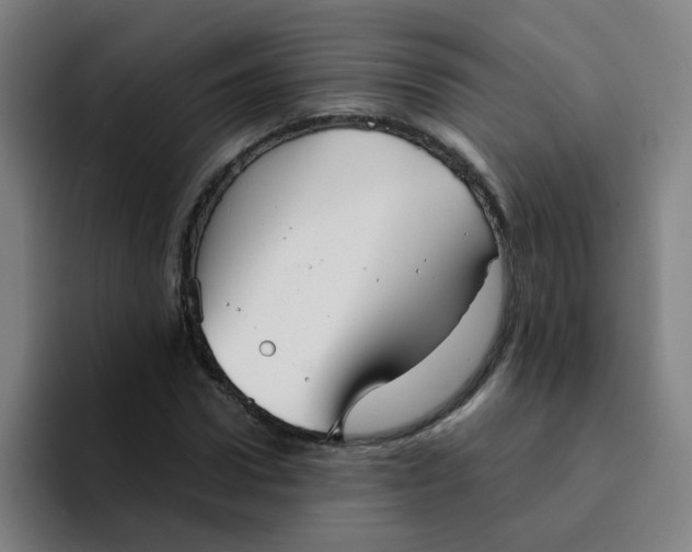 X0000094220922200711161846