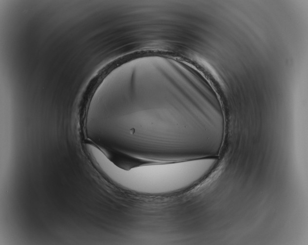 X0000094220923200711161846