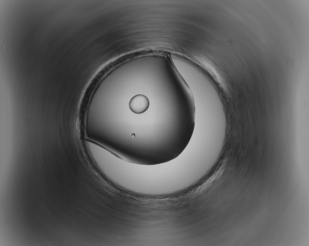 X0000094220924200711161846