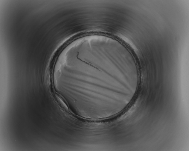 X0000094220925200711161846