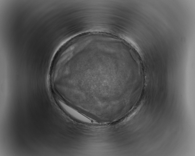 X0000094220928200711161846