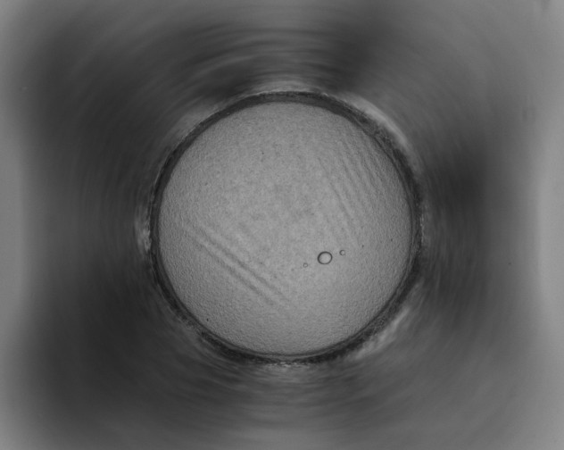 X0000094220929200711161846