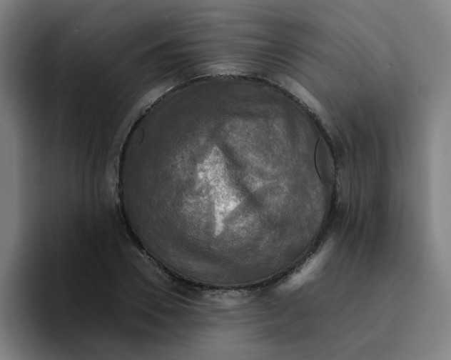 X0000094220930200711161846