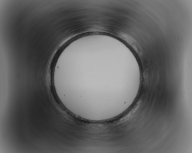 X0000094220931200711161846