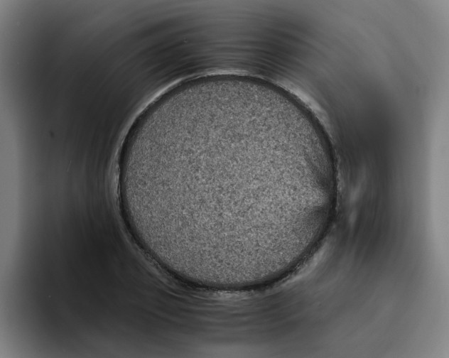 X0000094220933200711161846