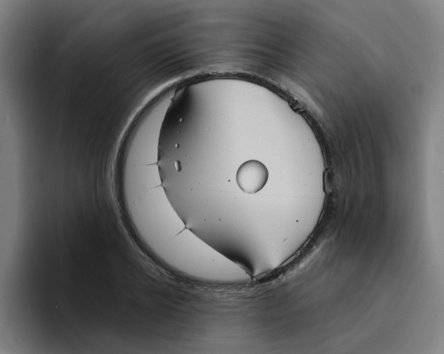 X0000094220934200711161846