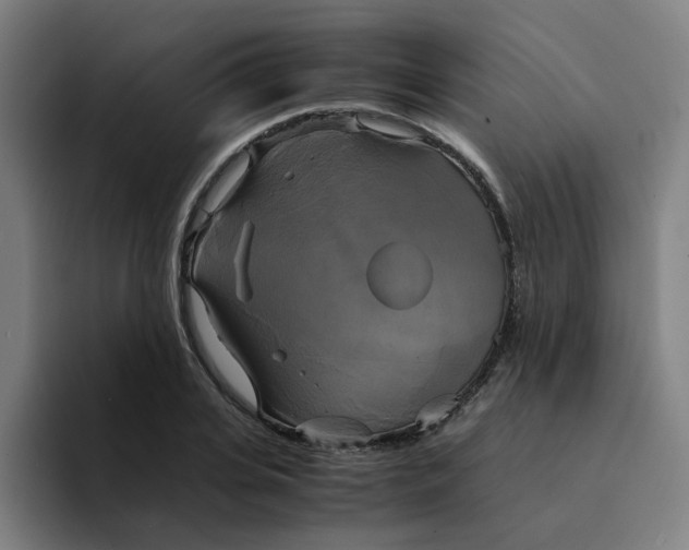 X0000094220935200711161846