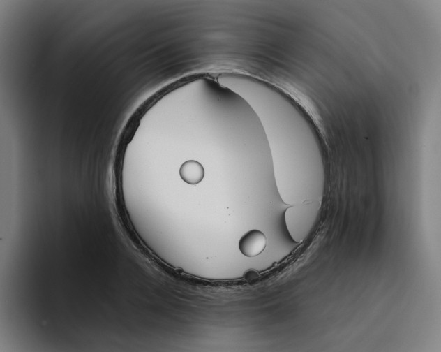 X0000094220936200711161846