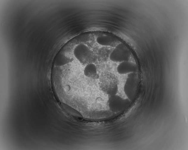 X0000094220937200711161846