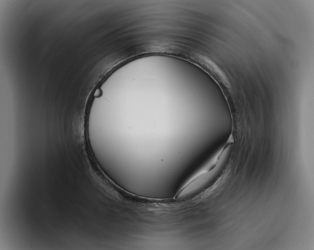 X0000094220938200711161846