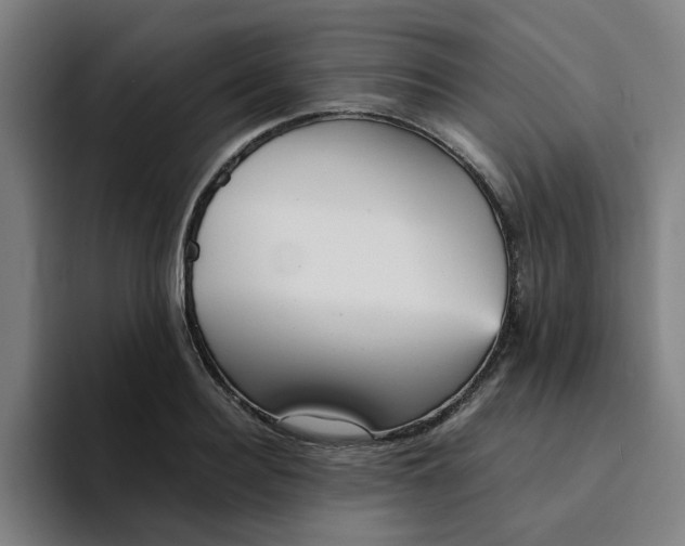 X0000094220940200711161846