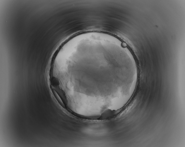 X0000094220941200711161846