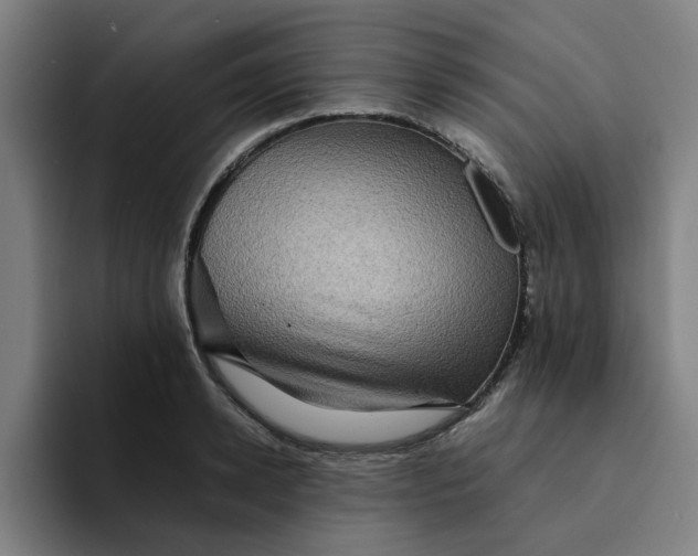 X0000094220942200711161846