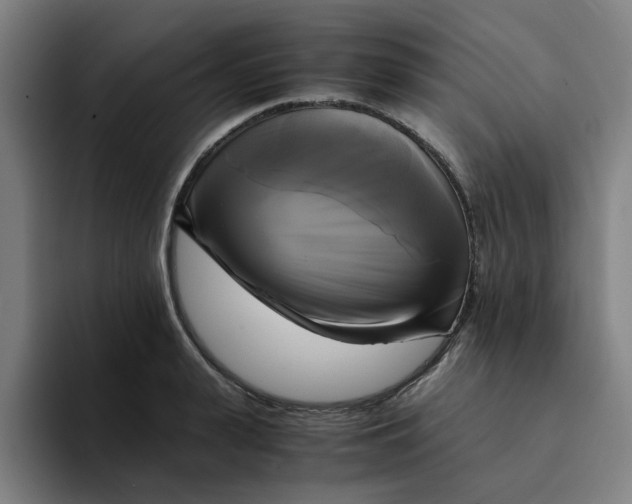 X0000094220943200711161846