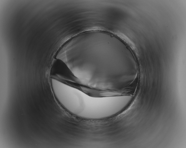 X0000094220945200711161846