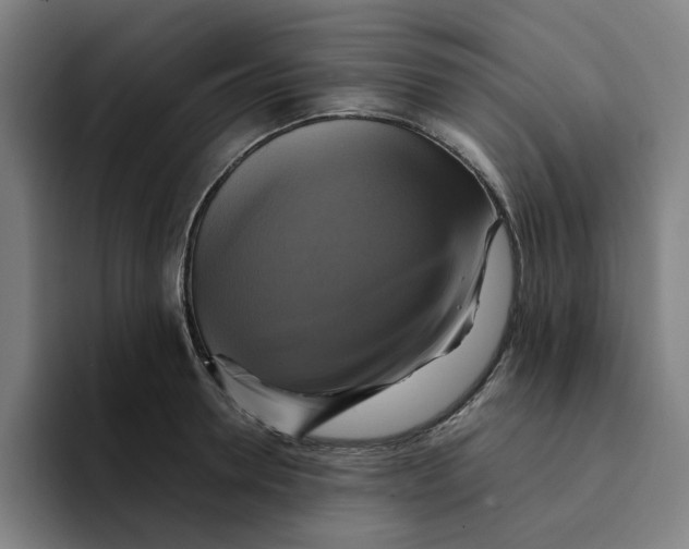 X0000094220946200711161846